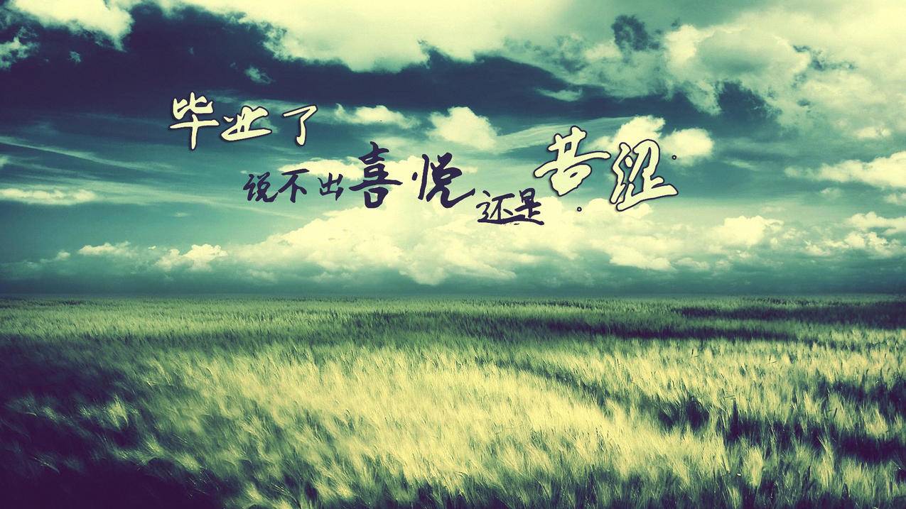 网红商城